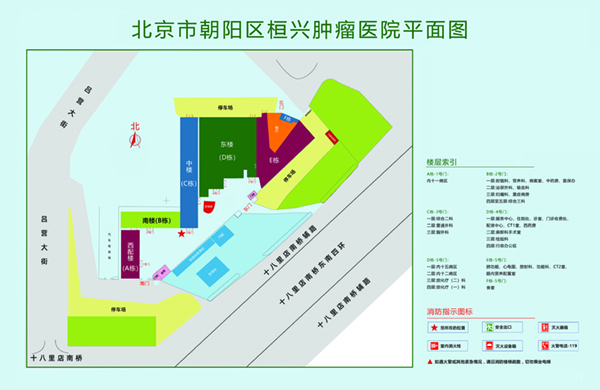 情趣被操北京市朝阳区桓兴肿瘤医院平面图